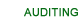 Auditing